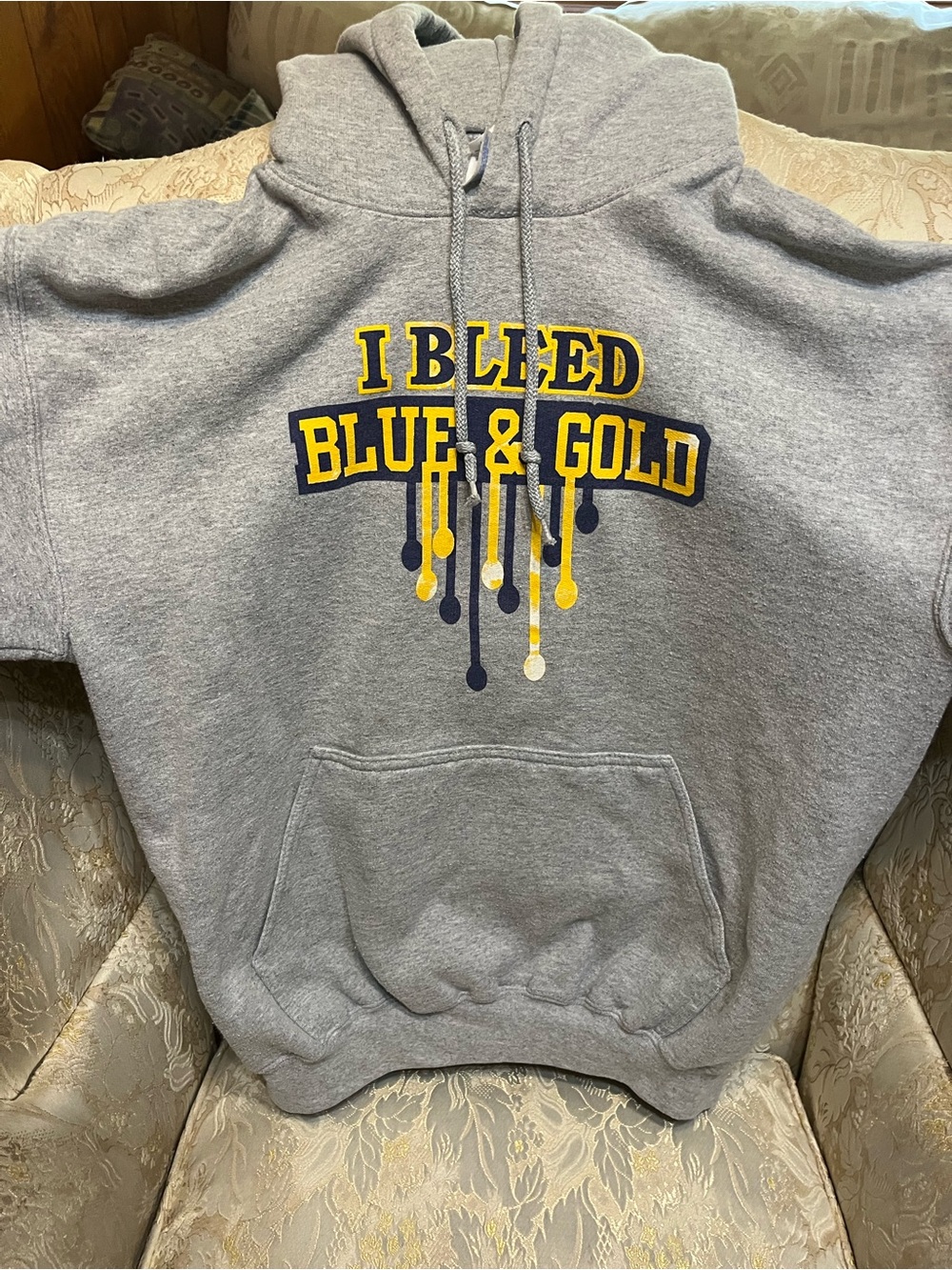 Gildan Gray Hoodie with Blue & Gold Graphic